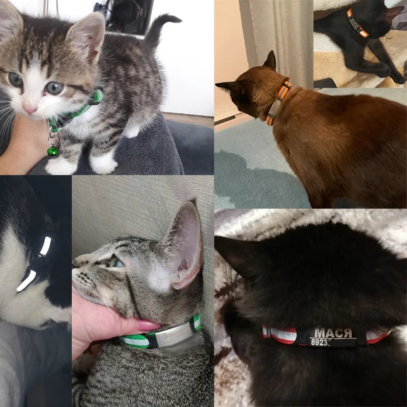 Reflective Cat Safety Buckle Collar Adjustable Custom Personalized ID Free Engraving