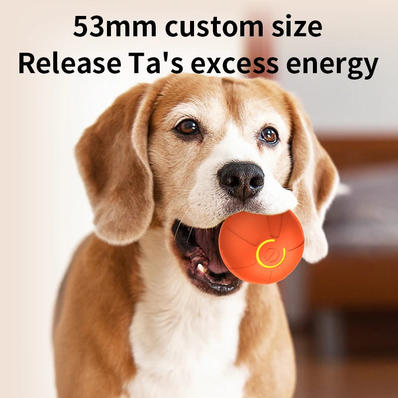 Smart Dog Toy Ball Automatic Interactive Pet Electronic Rolling USB Rechargeable
